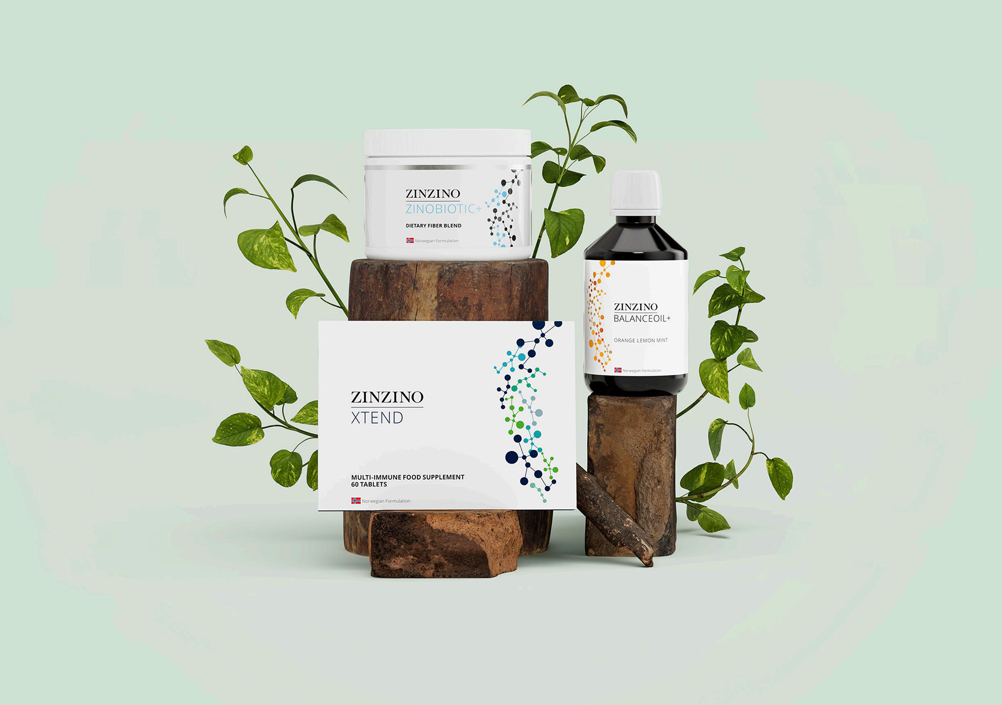 Gesundheitscoaching Freigericht – Analyse- & testbasierte Nährstoffe